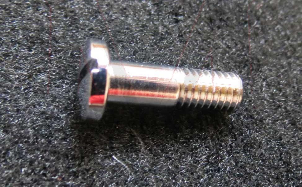 190SL CHROME SCREW